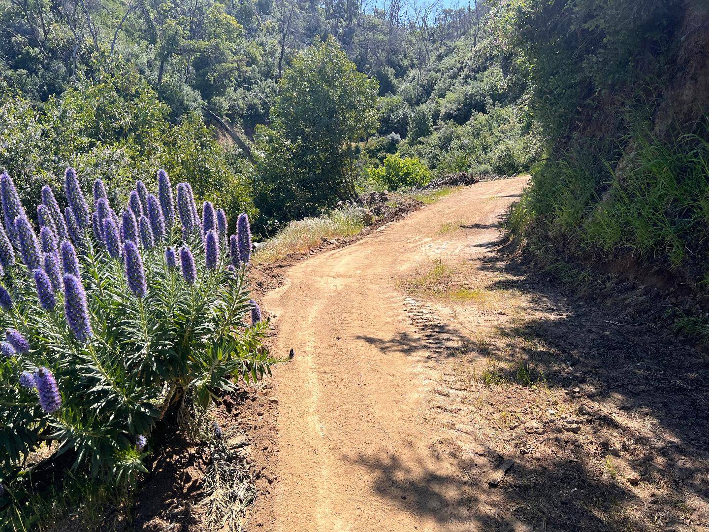 Carmel, CA 93923,37811 Palo Colorado RD