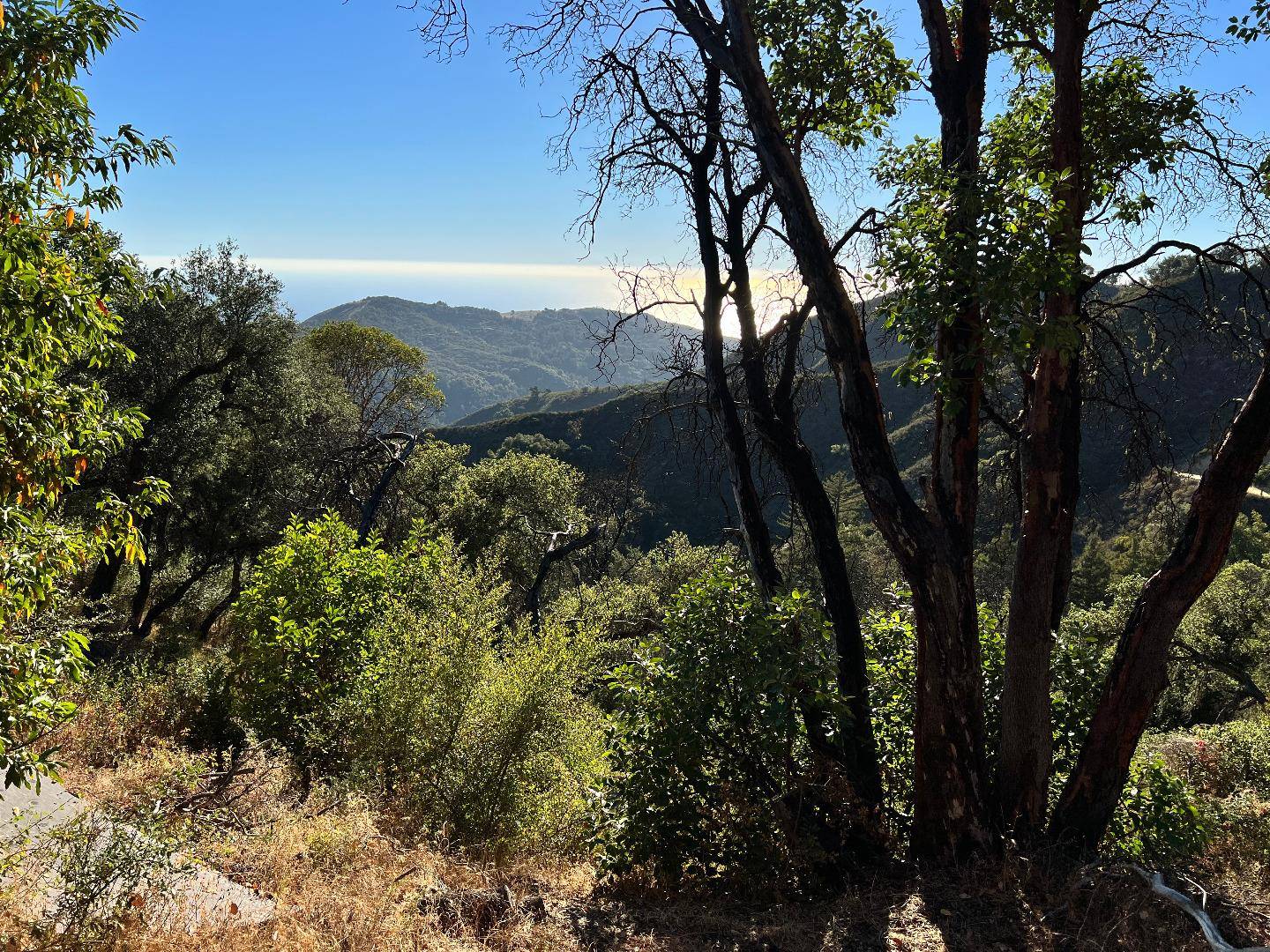 Carmel, CA 93923,37811 Palo Colorado RD