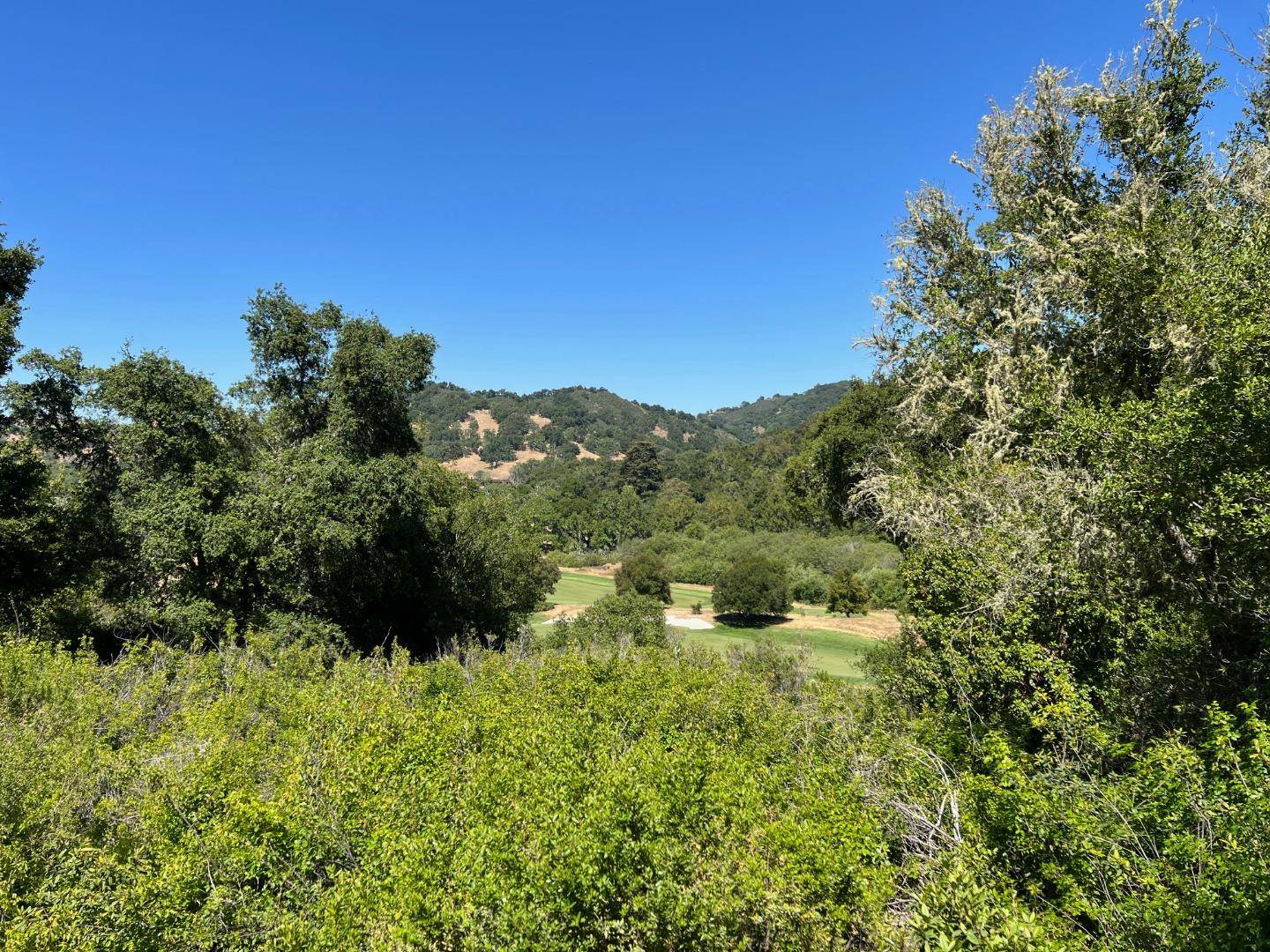 Carmel, CA 93923,6 Arroyo Sequoia