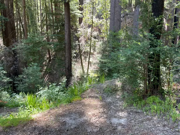 506 Sunset RD, Boulder Creek, CA 95006