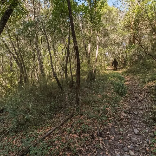 Felton, CA 95018,Lot 08 Madrone AVE
