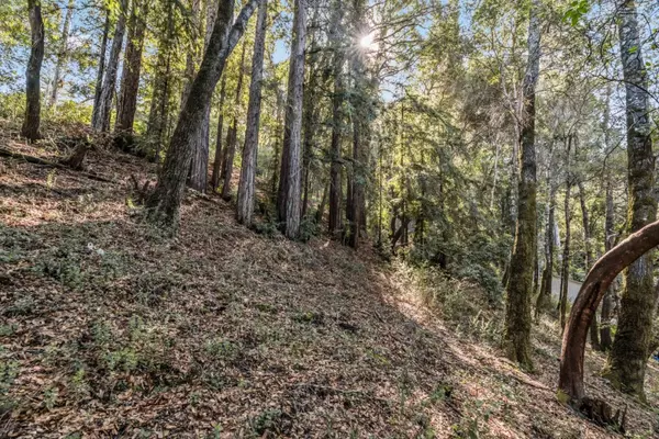 Felton, CA 95018,Lot 11 Volver AVE