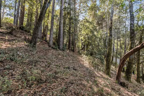 Felton, CA 95018,Lot 11 Volver AVE