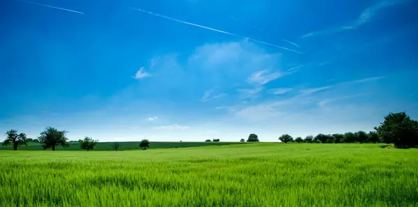 10868 Dougherty AVE, Morgan Hill, CA 95037