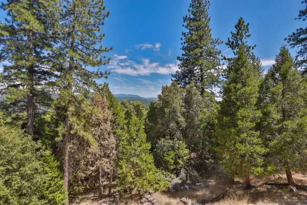 Pioneer, CA 95666,16271 Stephanie WAY