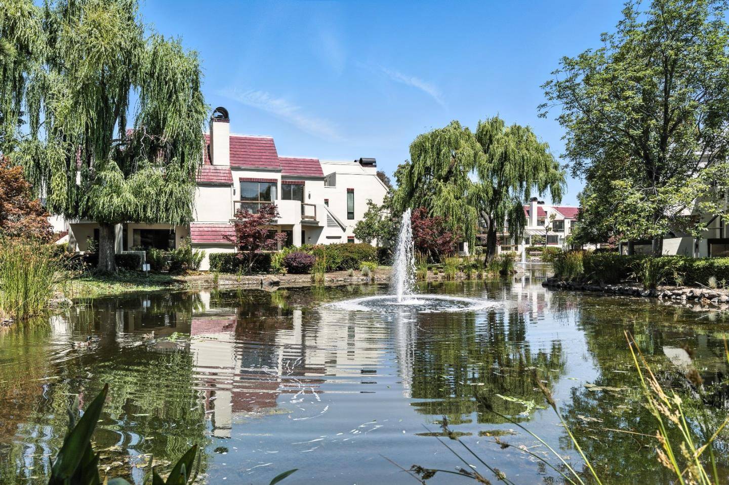221 Shorebird CIR, Redwood Shores, CA 94065