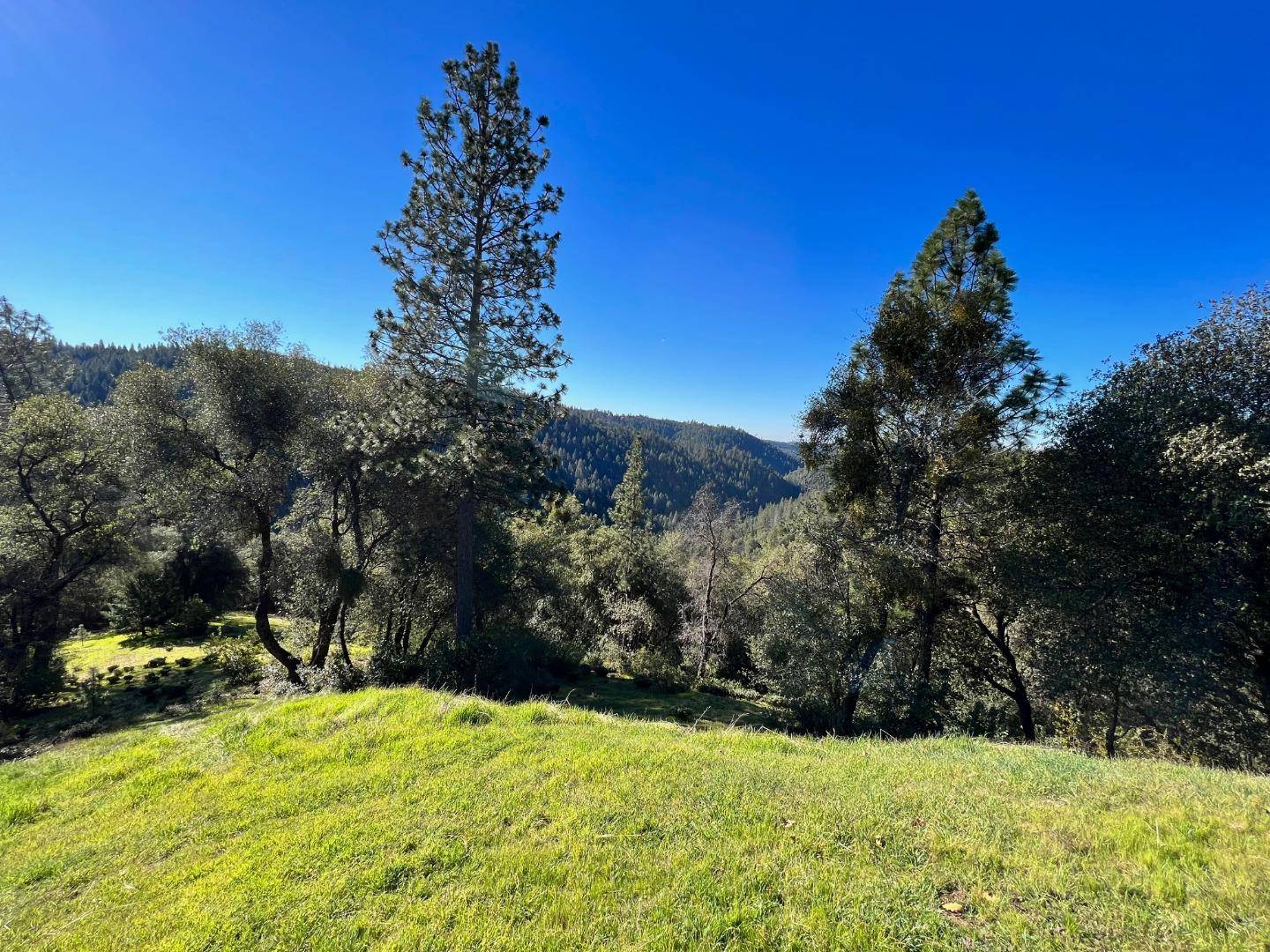 Sutter Creek, CA 95685,17252 Shake Ridge RD
