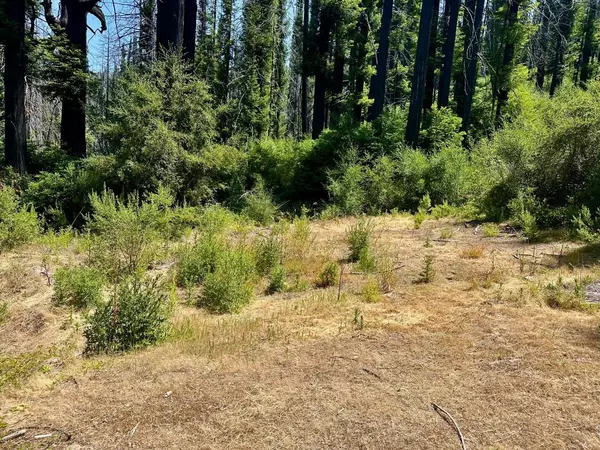 Davenport, CA 95017,678 Swanton RD