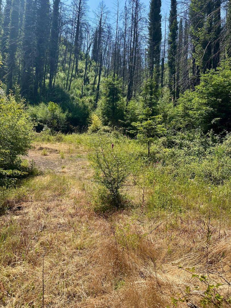 678 Swanton RD, Davenport, CA 95017