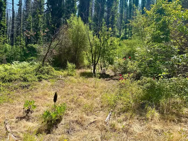 Davenport, CA 95017,678 Swanton RD