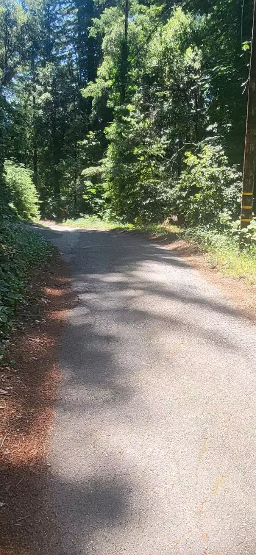 Boulder Creek, CA 95006,1080 Blue Ridge DR