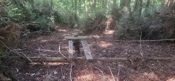 Boulder Creek, CA 95006,1080 Blue Ridge DR