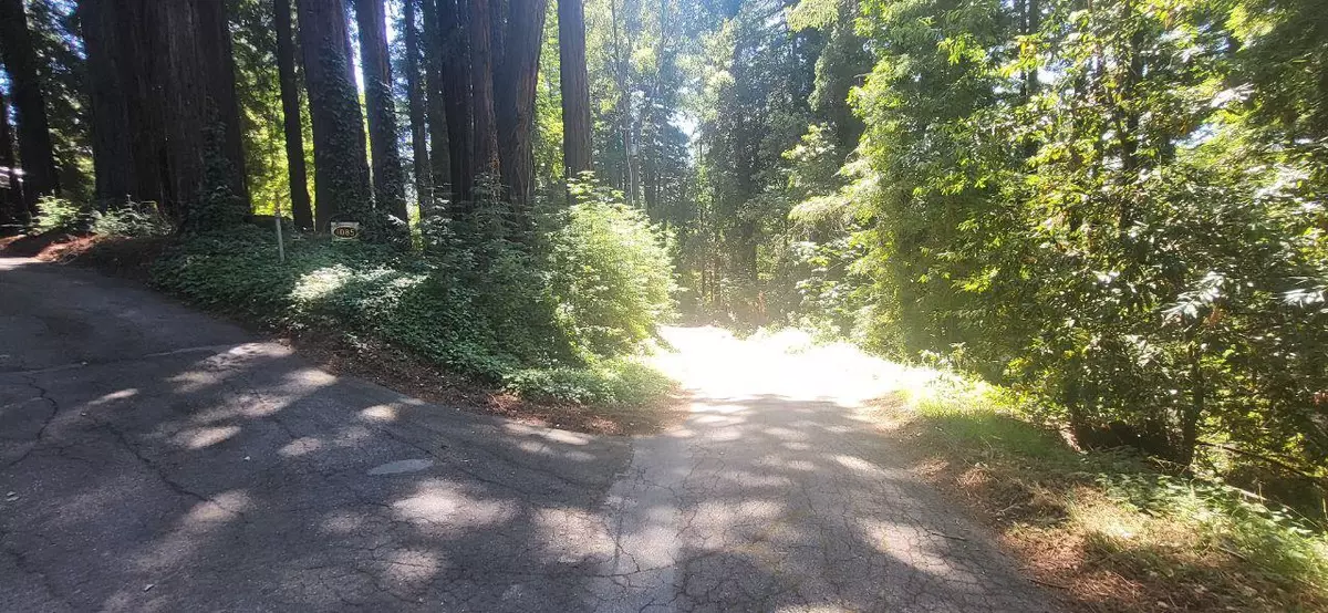 Boulder Creek, CA 95006,1080 Blue Ridge DR