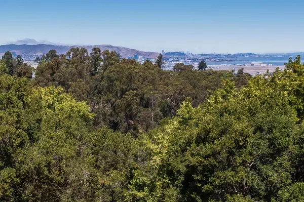 Hillsborough, CA 94010,0 Eugenia