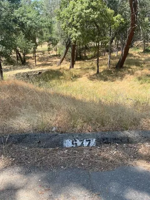 Oroville, CA 95966,582 Silver Leaf DR