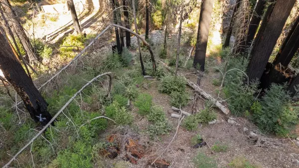 Boulder Creek, CA 95006,Lot 04 Boulder Brook DR