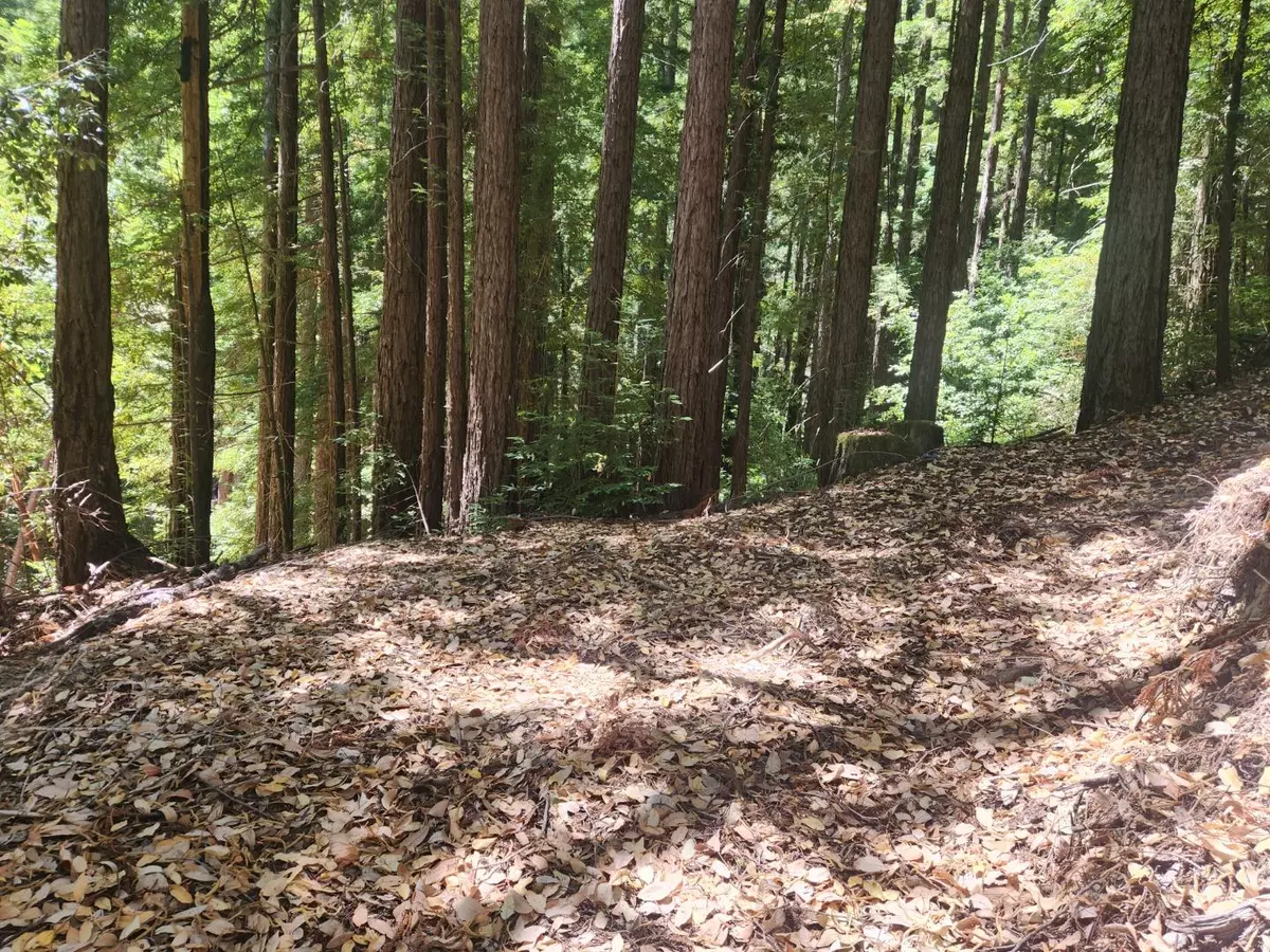 Boulder Creek, CA 95006,510 East RD