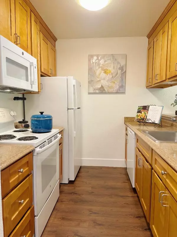 San Bruno, CA 94066,8129 Shelter Creek LN