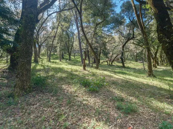 Carmel Valley, CA 93923,35000 Robinson Canyon RD