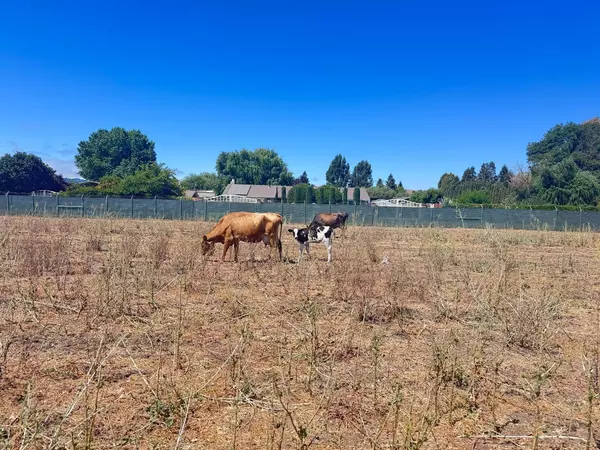 Gilroy, CA 95020,0 6th ST