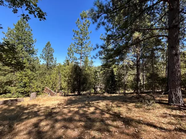 Placerville, CA 95667,1720 Jacobs WAY
