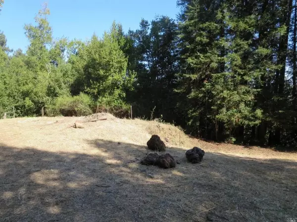San Rafael, CA 94903,29 Red Rock WAY