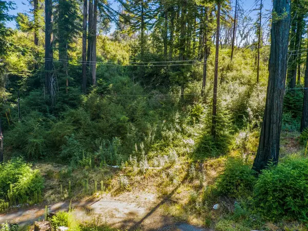 Santa Cruz, CA 95060,585 Robles DR