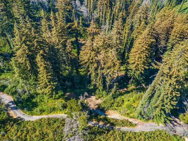 Santa Cruz, CA 95060,585 Robles DR