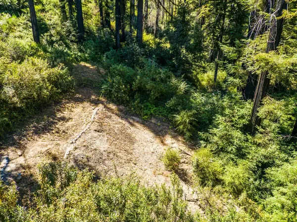 Santa Cruz, CA 95060,585 Robles DR