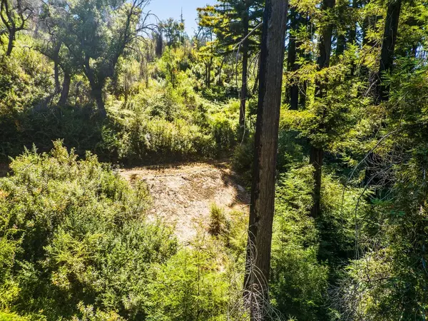 Santa Cruz, CA 95060,585 Robles DR