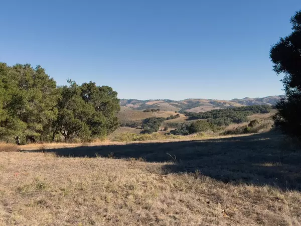Carmel Valley, CA 93923,7 Holding Field RUN