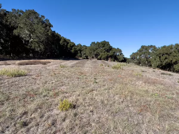 Carmel Valley, CA 93923,7 Holding Field RUN
