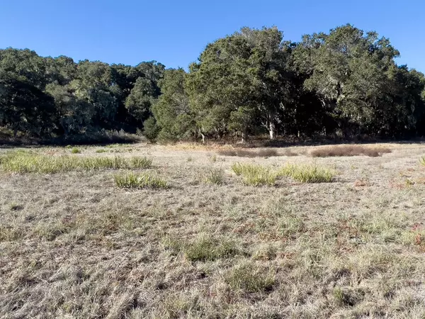 Carmel Valley, CA 93923,7 Holding Field RUN