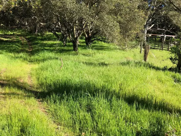 Salinas, CA 93907,6967 Valle Pacifico RD