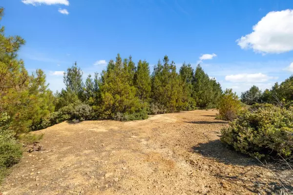 Los Gatos, CA 95033,Lot 42 Summit RD