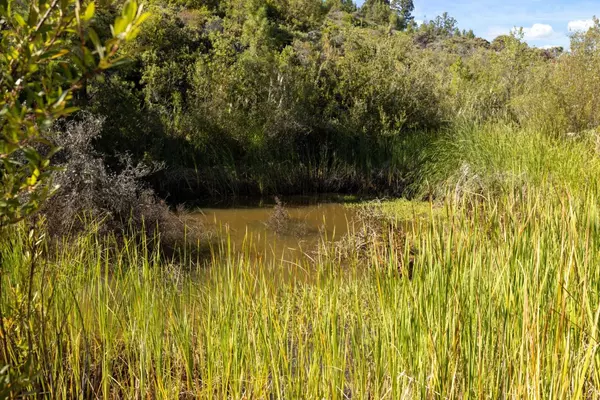 Los Gatos, CA 95033,Lot 42 Summit RD