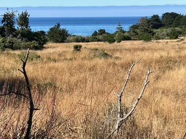 The Sea Ranch, CA 95497,375 Spur Close