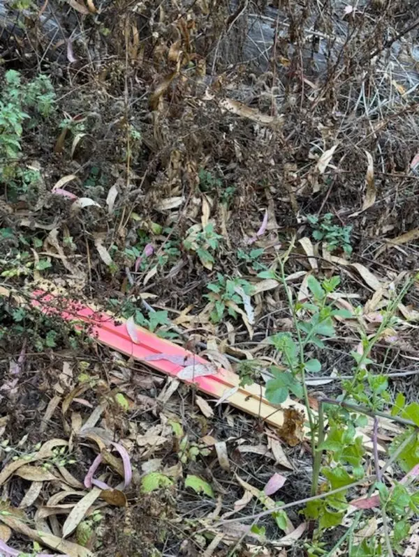 El Granada, CA 94018,Address not disclosed