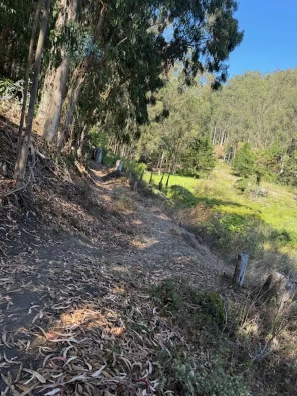 El Granada, CA 94018,Address not disclosed