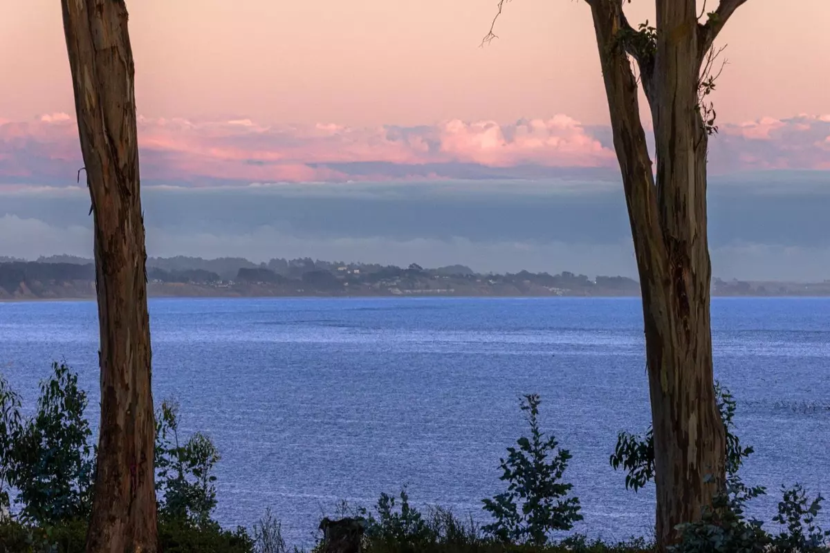 Capitola, CA 95010,825 Balboa AVE 104