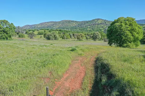 Copperopolis, CA 95228,2844 Canoe ST