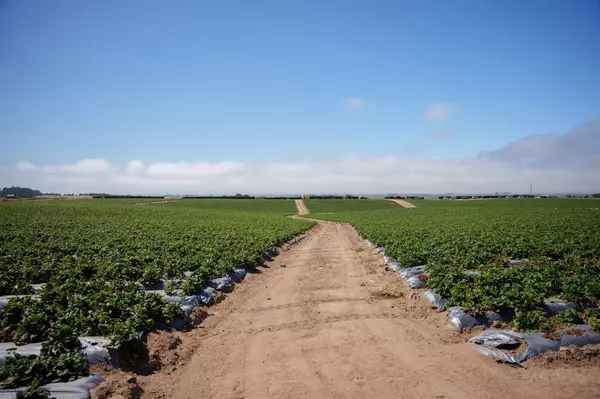 Salinas, CA 93907,0 CA-156