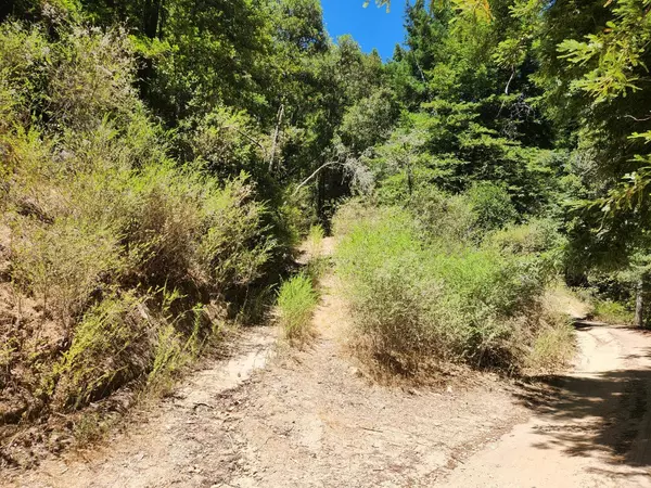 510 East RD, Boulder Creek, CA 95006