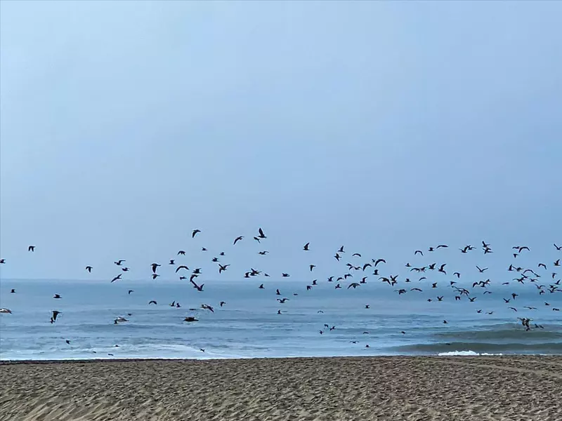 875 La Playa ST 180, San Francisco, CA 94121