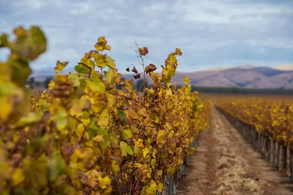 Soledad, CA 93960,31102 Camphora Gloria RD