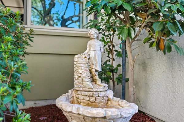 San Jose, CA 95135,8423 Chenin Blanc LN