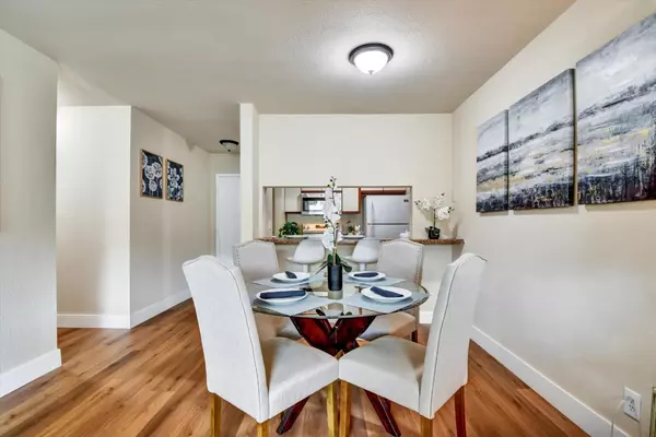 Daly City, CA 94015,373 Half Moon LN 306