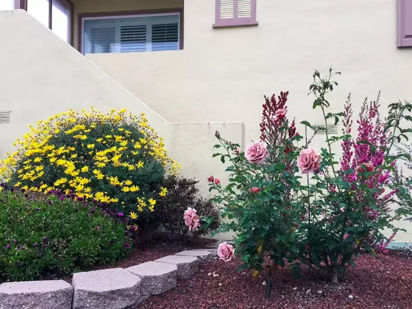 South San Francisco, CA 94080,431 Beech AVE