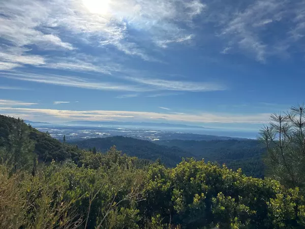 Watsonville, CA 95076,0 Ormsby Cutoff