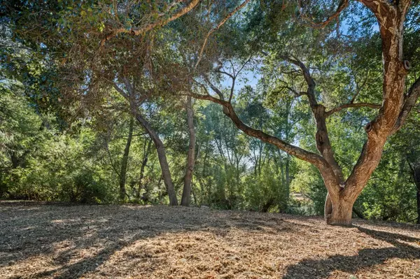Carmel Valley, CA 93924,59 Boronda Road